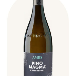 Weingut Ambs, Pino Magma, 2020